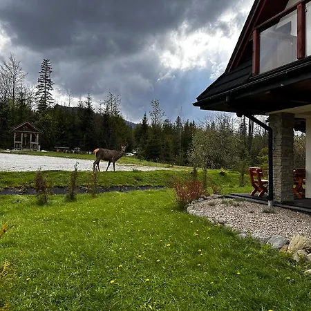 Nika Zakopane